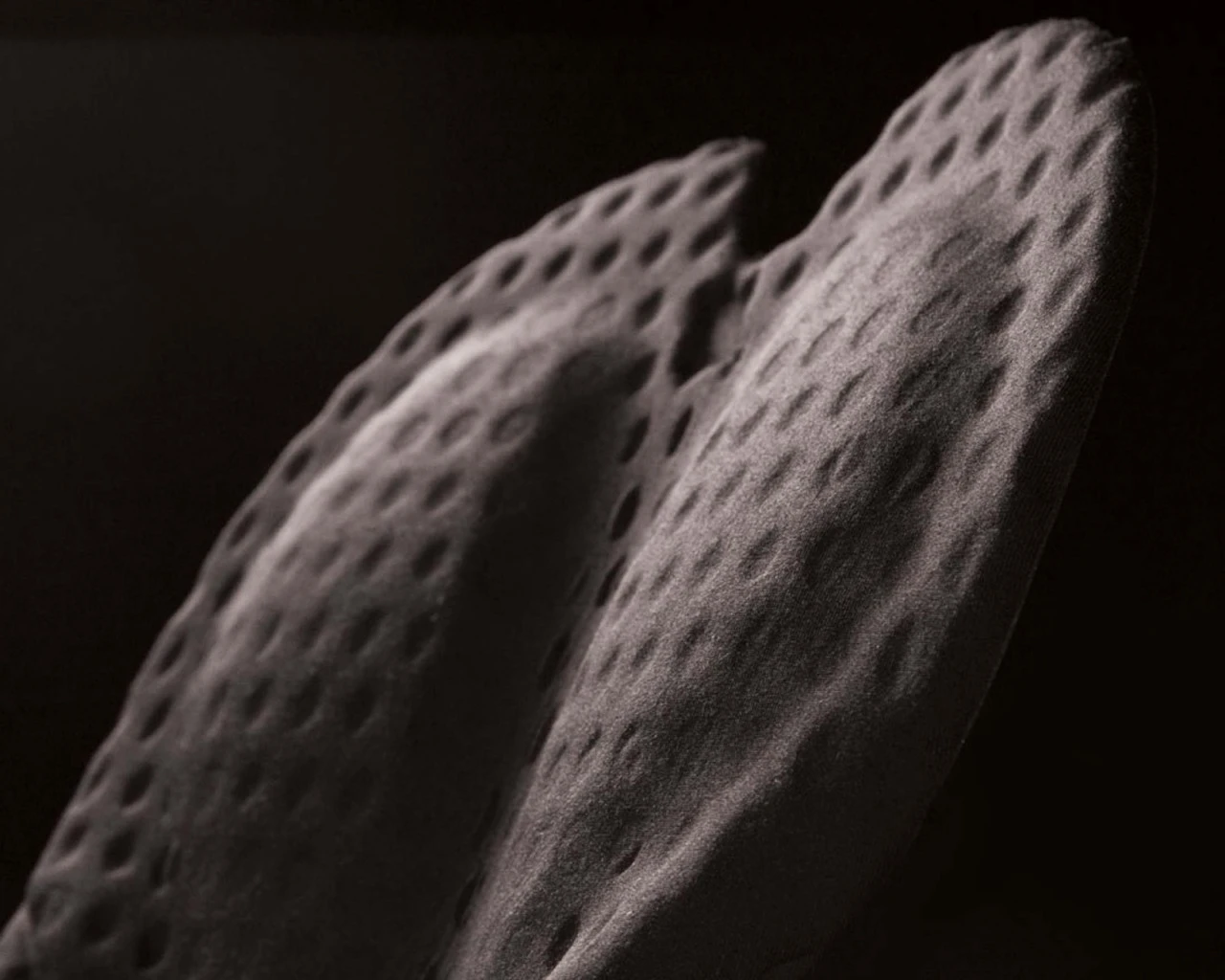 Endura D2Z Bibshorts - Zeitfahrshorts Mit 1000er Aero/CVP-Pad | Schwarz – Bild 4