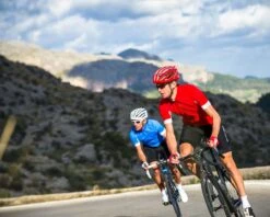 Endura FS260-Pro Bibshorts | Black -Cube Verkäufe endura fs260 pro bibshorts black 005 40946 2200x1760 1280x1280