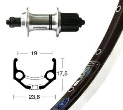 Shimano Hinterrad 28" | RM30/TX800 8-Fach , ZX19 Schw., Niro Sp.