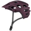 IXS Trail EVO MTB Helm | Raisin -Cube Verkäufe ixs trail evo mtb helm raisin lxl 91409 2200x1760 1280x1280