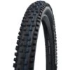Schwalbe Nobby Nic MTB-Reifen 29x2.25 Zoll | Schwarz ADDIX SpeedGrip Evolution Line Faltbar