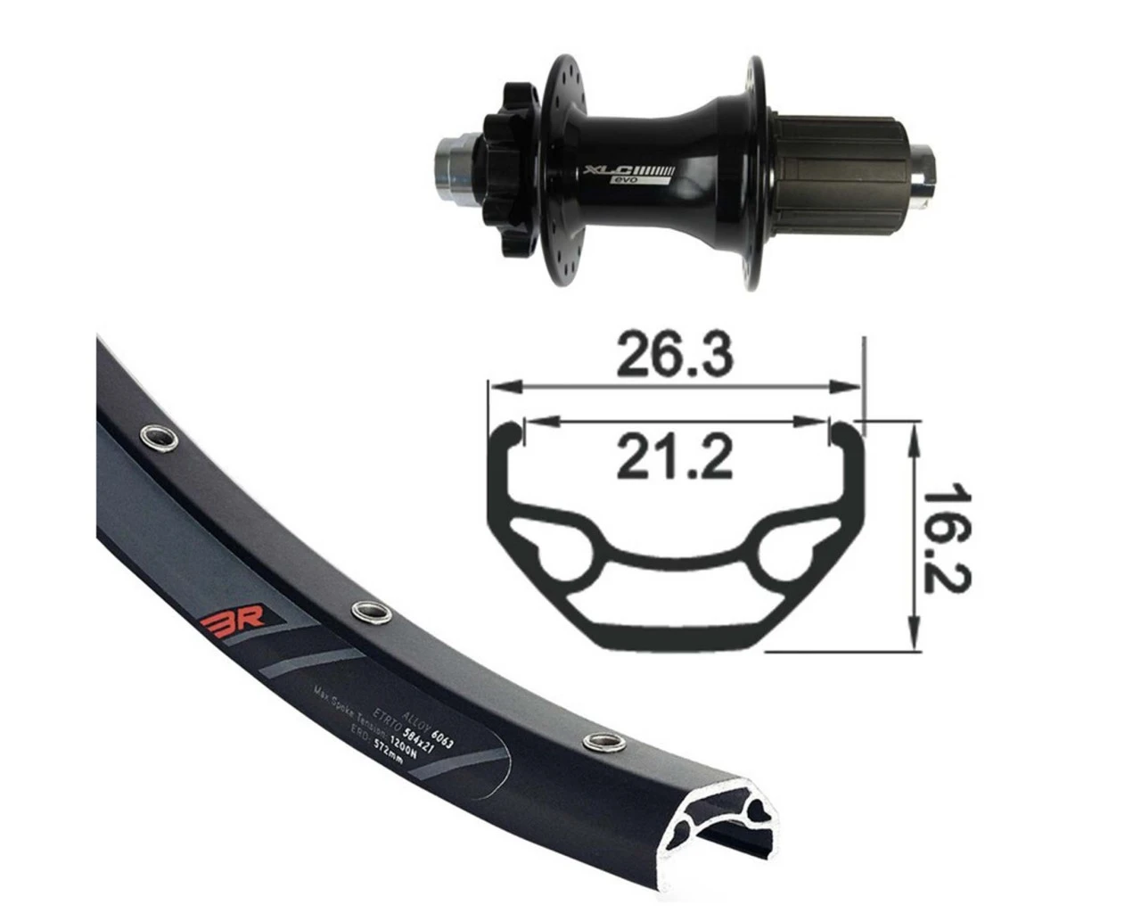 XLC Hinterrad 28/29 Zoll Schwarz TA 12 6-Loch Disc | Schwarz